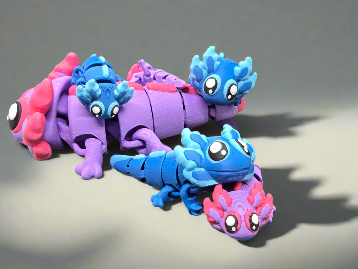 Axolotl