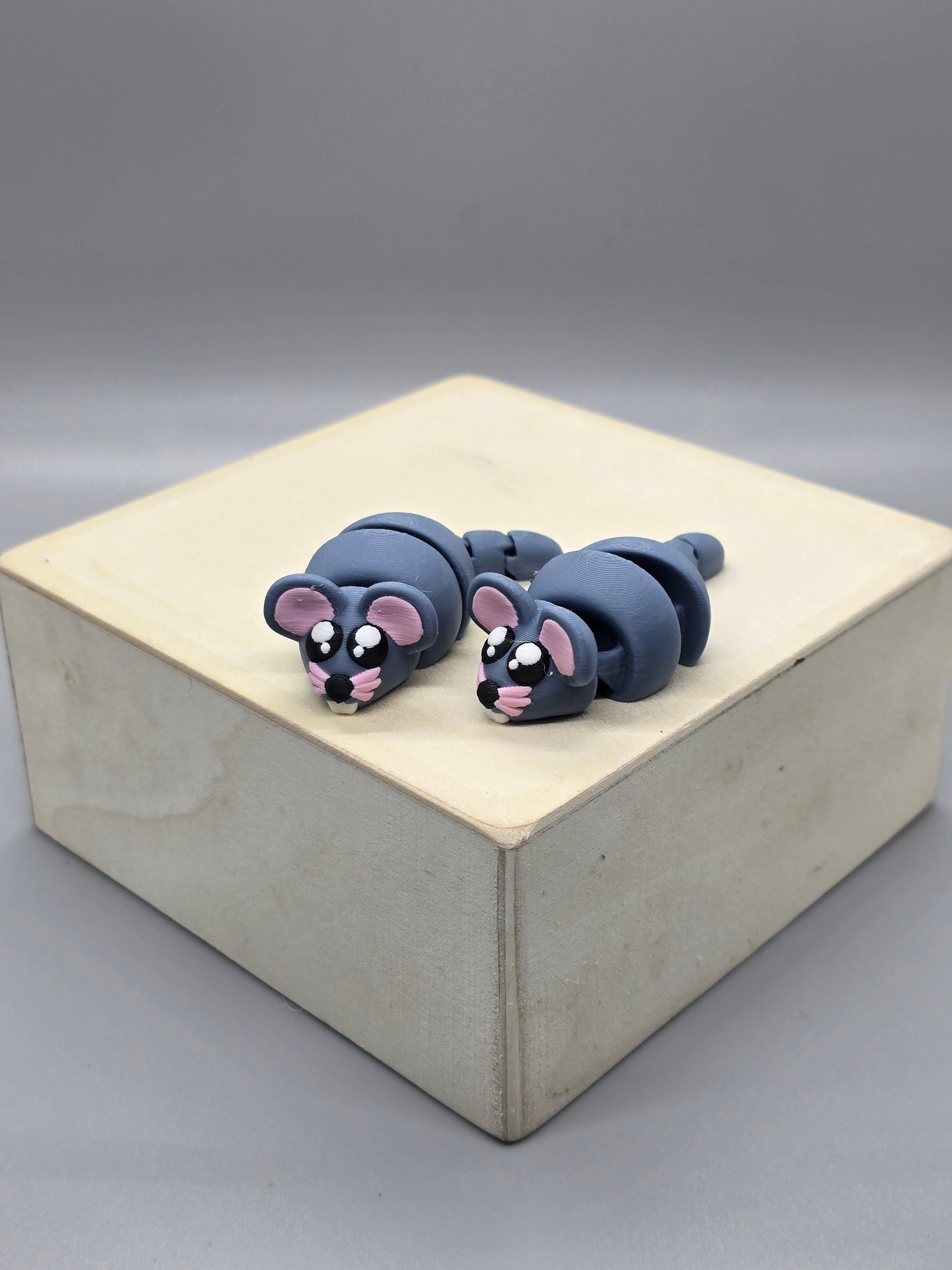 Mouse
