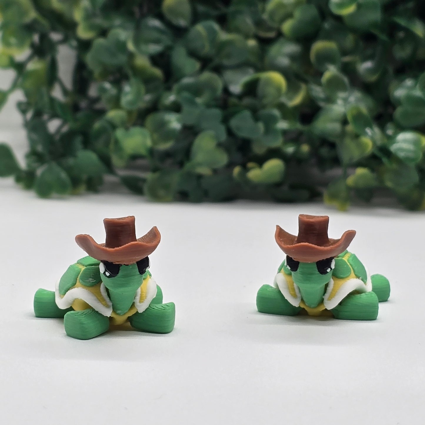 Turtle Cowboy