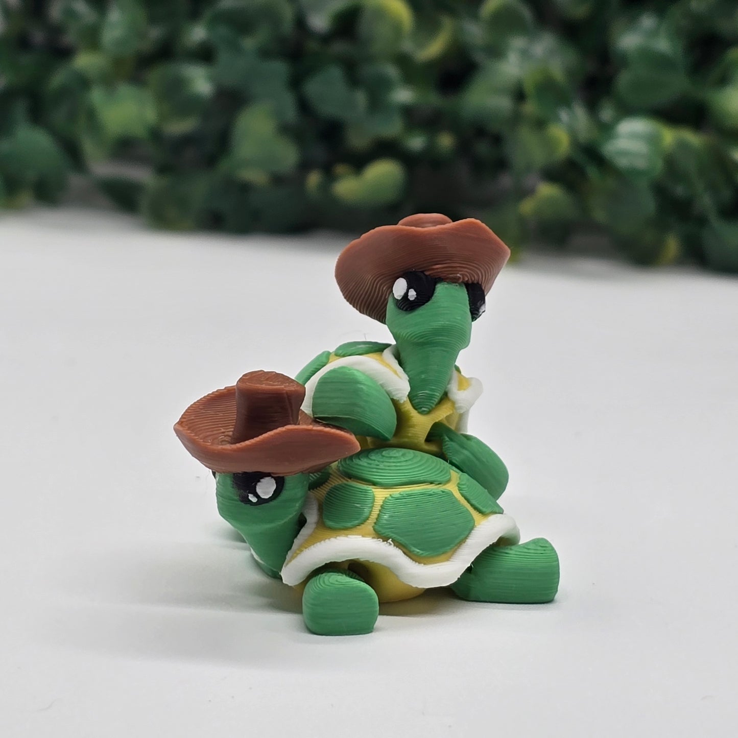 Turtle Cowboy