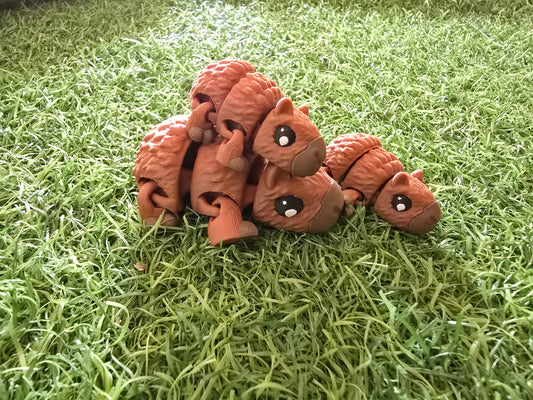 Safari Bundle